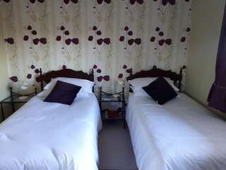 Отели типа «постель и завтрак» The Ring Farmhouse Бирр Двухместный номер с 2 отдельными кроватями и душем-3